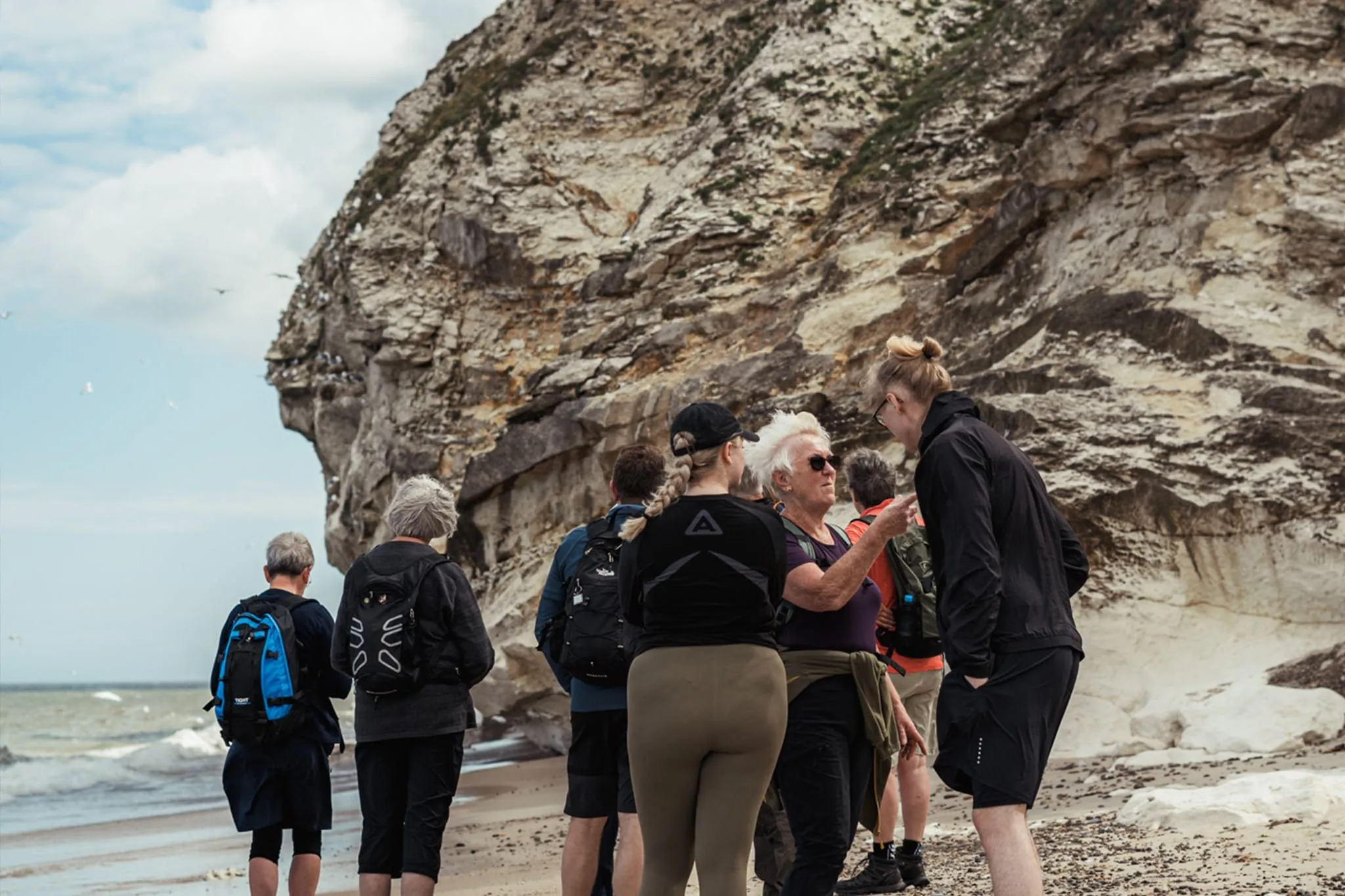En gruppe vandrere ved kridtklinten ved Vesterhavet
