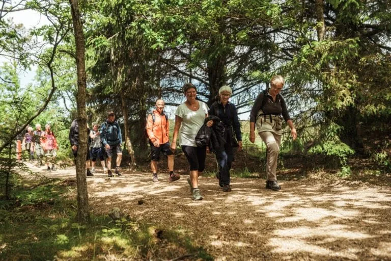 Guidet gåtur i det naturskønne område omkring Fjerritslev