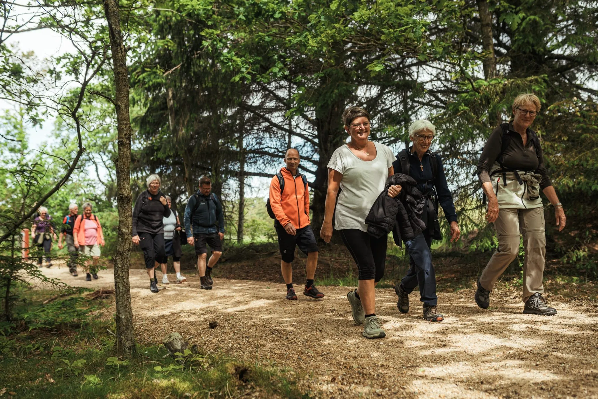 En gruppe seniorer på vandretur gennem en solbeskinnet skov